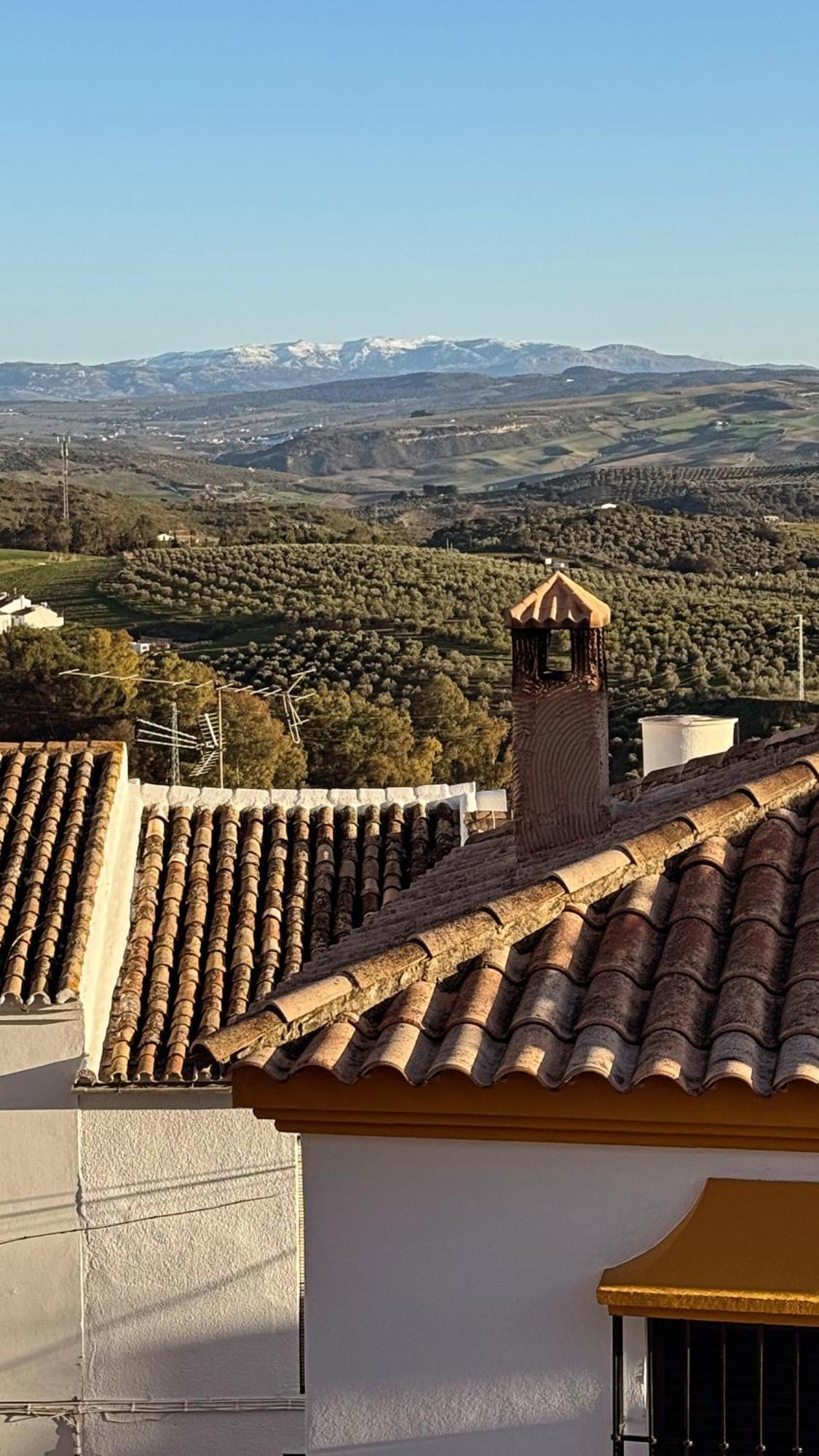 Lemon Tree Patio Villa Olvera Exterior photo